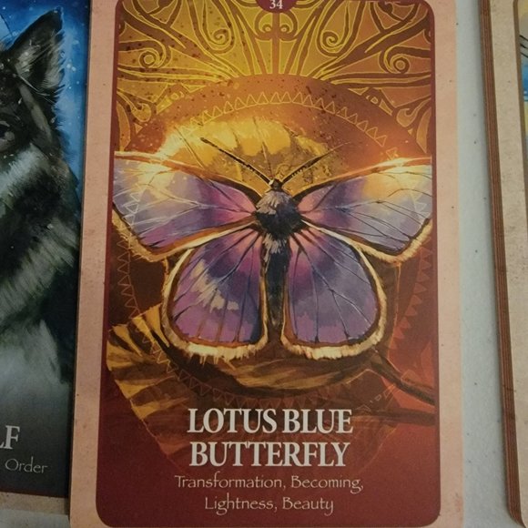 Oracle Cards The Secret Language of Animals - New - Picture 7 of 8